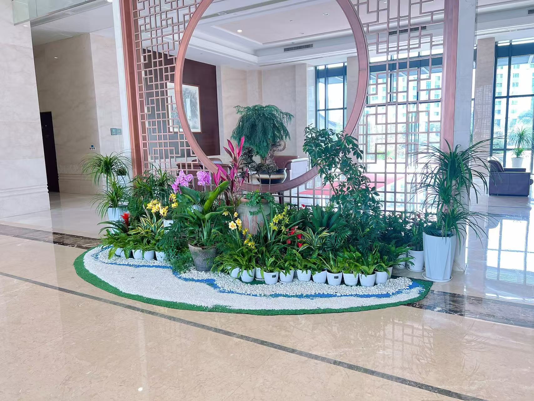 余姚花木租摆价格超实惠，装点空间超省钱！